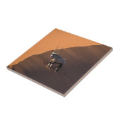 Oryx aan de rand, Namibië Tegeltje (Zijkant)