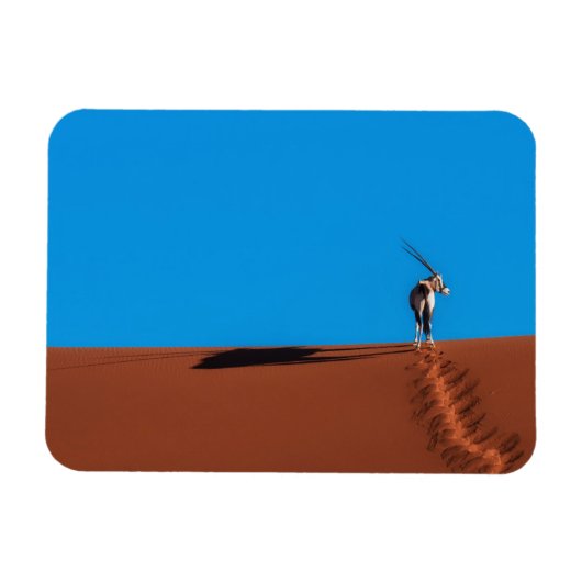 Oryx Antelope in de Namib woestijn Magneet (Horizontaal)