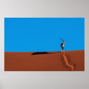 Oryx Antelope in de Namib woestijn Poster