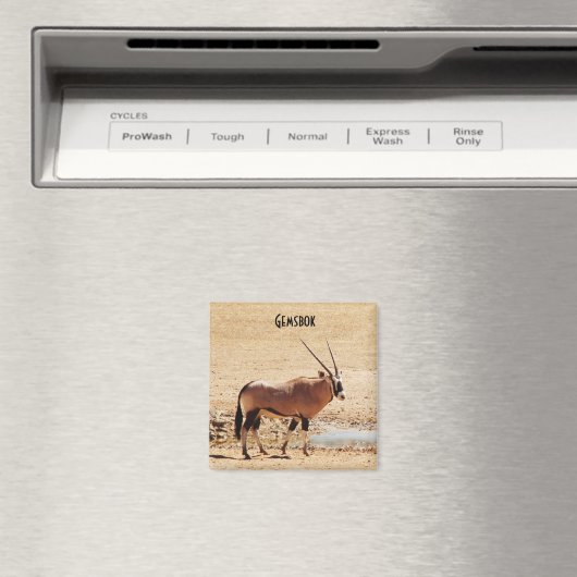 Oryx Gazella Kgalagadi Africa Magneet (Insitu (Vaatwasser))