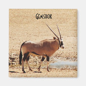 Oryx Gazella Kgalagadi Africa Magneet (Voorkant)