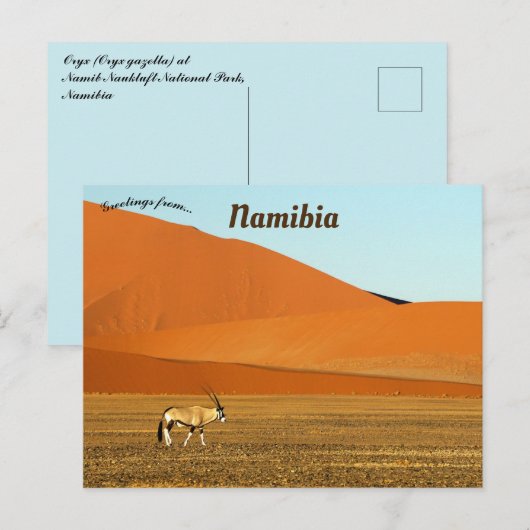 Oryx Gazella Namib Naukluft Nationaal Park Namibië Briefkaart (Voorkant / Achterkant)