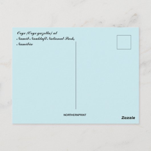 Oryx Gazella Namib Naukluft Nationaal Park Namibië Briefkaart (Achterkant)