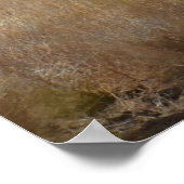 Oryx in Afrika Poster (Hoek)