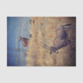 Oryx in Afrika Tissuepapier (Voorkant)