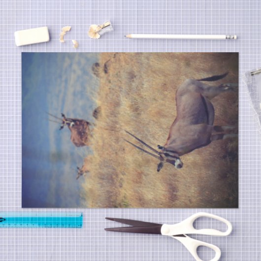 Oryx in Afrika Tissuepapier (Craft)