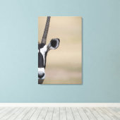 Oryx ook Gemsbock, Oryx gazella, Auob genoemd Canvas Afdruk (Insitu (Houten vloer))
