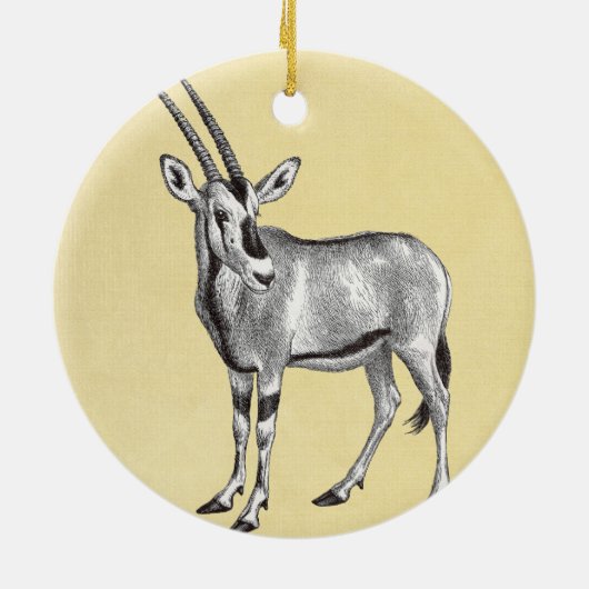  Oryx Ornament (Achterkant)