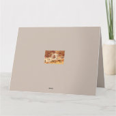 Os Avestruzes de Ponte de Lima / The Ostriches Kaart (Achterkant)