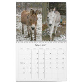 OSA-agenda Kalender (Mar 2027)