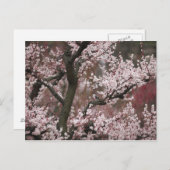 Osaka, Japan Briefkaart (Voorkant / Achterkant)