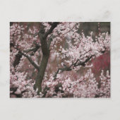 Osaka, Japan Briefkaart (Voorkant)