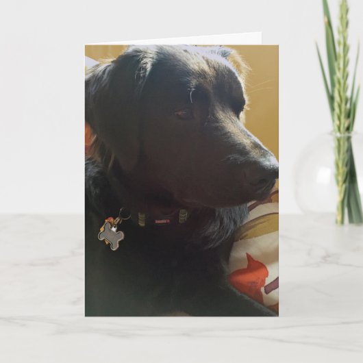 Oscar Black Dog Birthday Card Kaart (Voorkant)