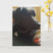 Oscar Black Dog Birthday Card Kaart (Gele Bloem)