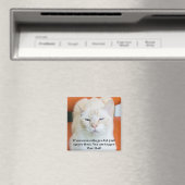 Oscar de Beledigende Grappige Kat Magneet (Insitu (Vaatwasser))