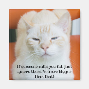 Oscar de Beledigende Grappige Kat Magneet