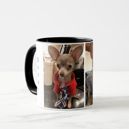 Oscar de Blue Chihuahua-mok Mok (Voorkant links)