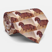 Oscar de Dachshund krijgt een Lolliop Stropdas (Opgerold)