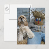 Oscar en Phil Briefkaart (Voorkant / Achterkant)