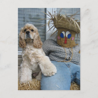 Oscar en Phil Briefkaart