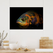 Oscar Fish Astronotus Ocellatus Poster (Keuken)