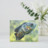 Oscar Fish Briefkaart (Staand voorkant)