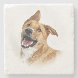 Oscar, het lab wil zijn, onderzetter