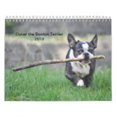 Oscar the Boston Terrier 2013 kalender (Hoes)
