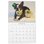 Oscar the Boston Terrier 2013 kalender (Mar 2026)