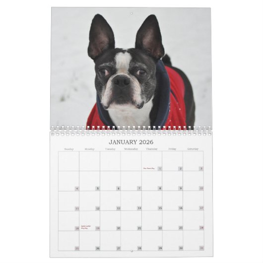 Oscar the Boston Terrier 2013 kalender (Jan 2026)