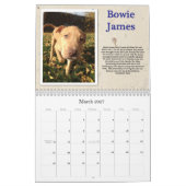 Oscar's reddingsdog Calender Kalender (Mar 2027)