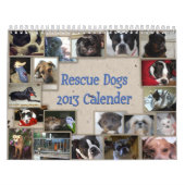 Oscar's reddingsdog Calender Kalender (Hoes)