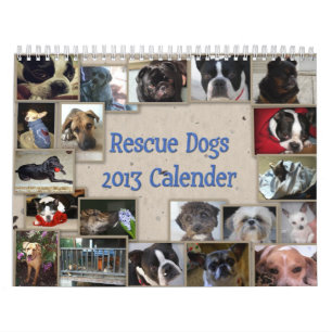 Oscar's reddingsdog Calender Kalender