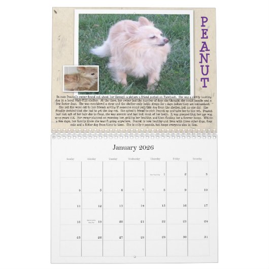 Oscar's reddingsdog Calender Kalender (Jan 2026)