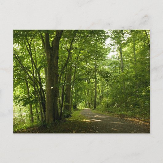 Osceloa Island Weir Dam Bristol Tennessee Briefkaart (Voorkant)