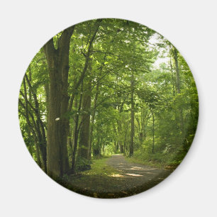 Osceloa Island Weir Dam Bristol Tennessee Magneet