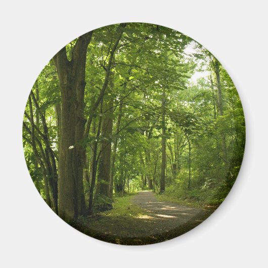 Osceloa Island Weir Dam Bristol Tennessee Magneet (Voorkant)