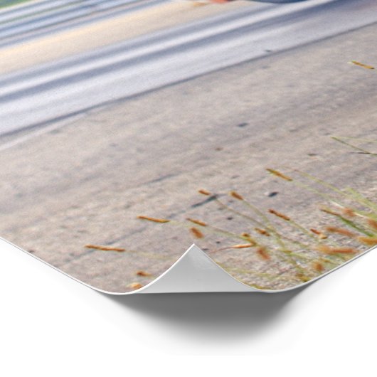 Osceola Dragway Fotografie Poster (Hoek)