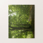 Osceola Island, Weir - Dam Bristol TN puzzel (Verticaal)