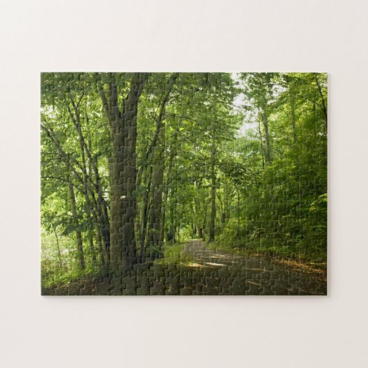 Osceola Island, Weir - Dam Bristol TN puzzel Legpuzzel (Horizontaal)