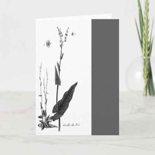 Oseille des Prés Kaart (Voorkant)