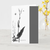 Oseille des Prés Kaart (Gele Bloem)