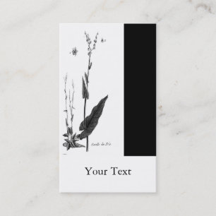 Oseille des Prés Visitekaartje