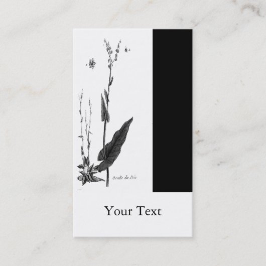 Oseille des Prés Visitekaartje (Voorkant)