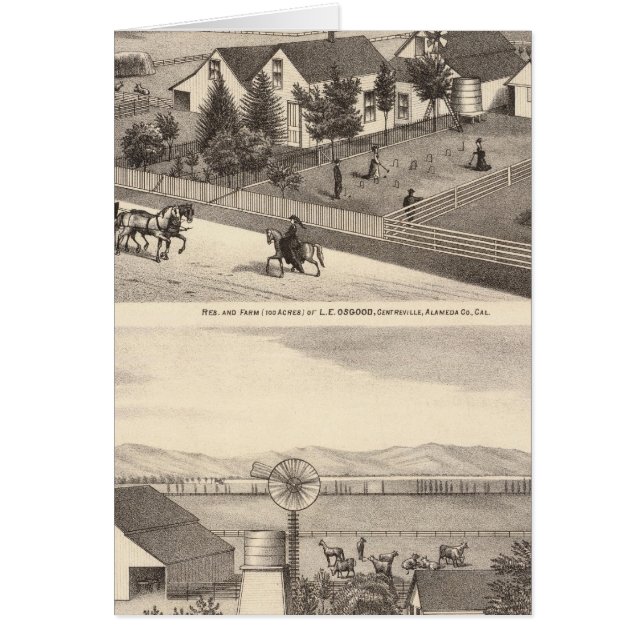 Osgood, Kameroenverblijven, boerderijen (Voorkant)