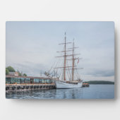 Oslo Noorwegen Fotoplaat (voorkant)