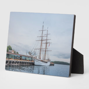 Oslo Noorwegen Fotoplaat