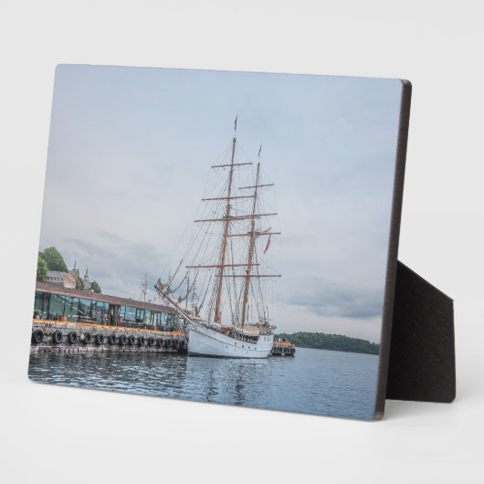 Oslo Noorwegen Fotoplaat (Zijkant)