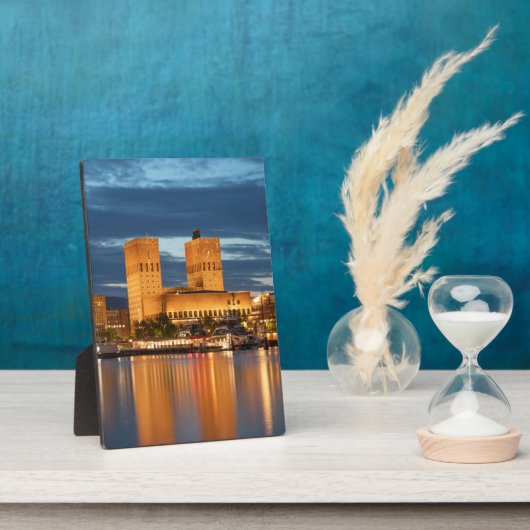 Oslo Noorwegen Fotoplaat (Zijkant)