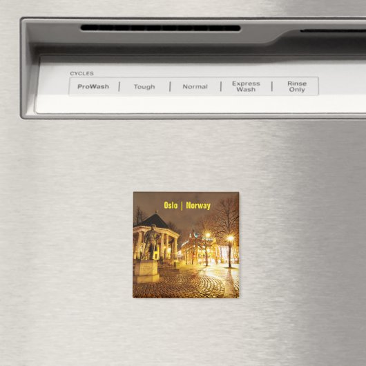 Oslo, Noorwegen 's nachts Magneet (Insitu (Vaatwasser))